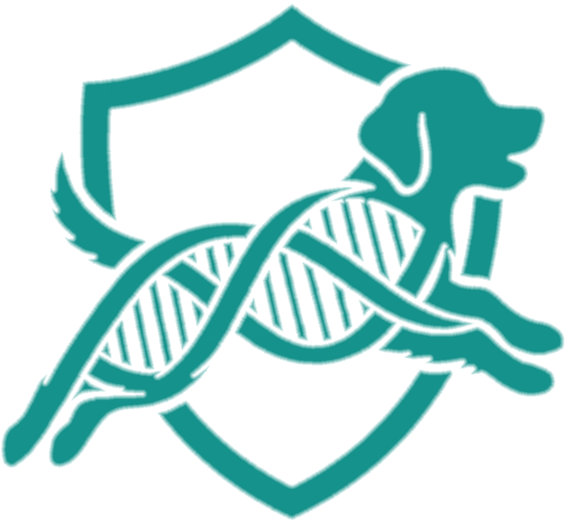 DNA