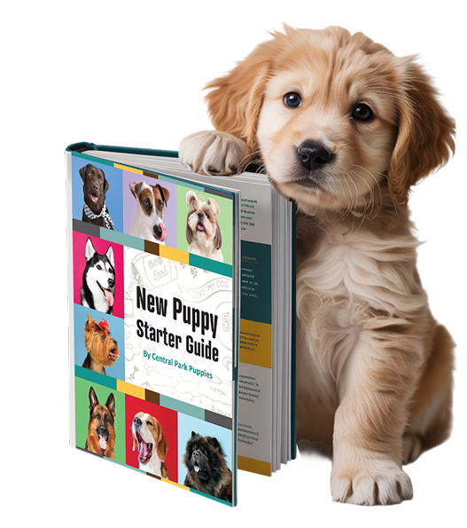 New Puppy Handbook